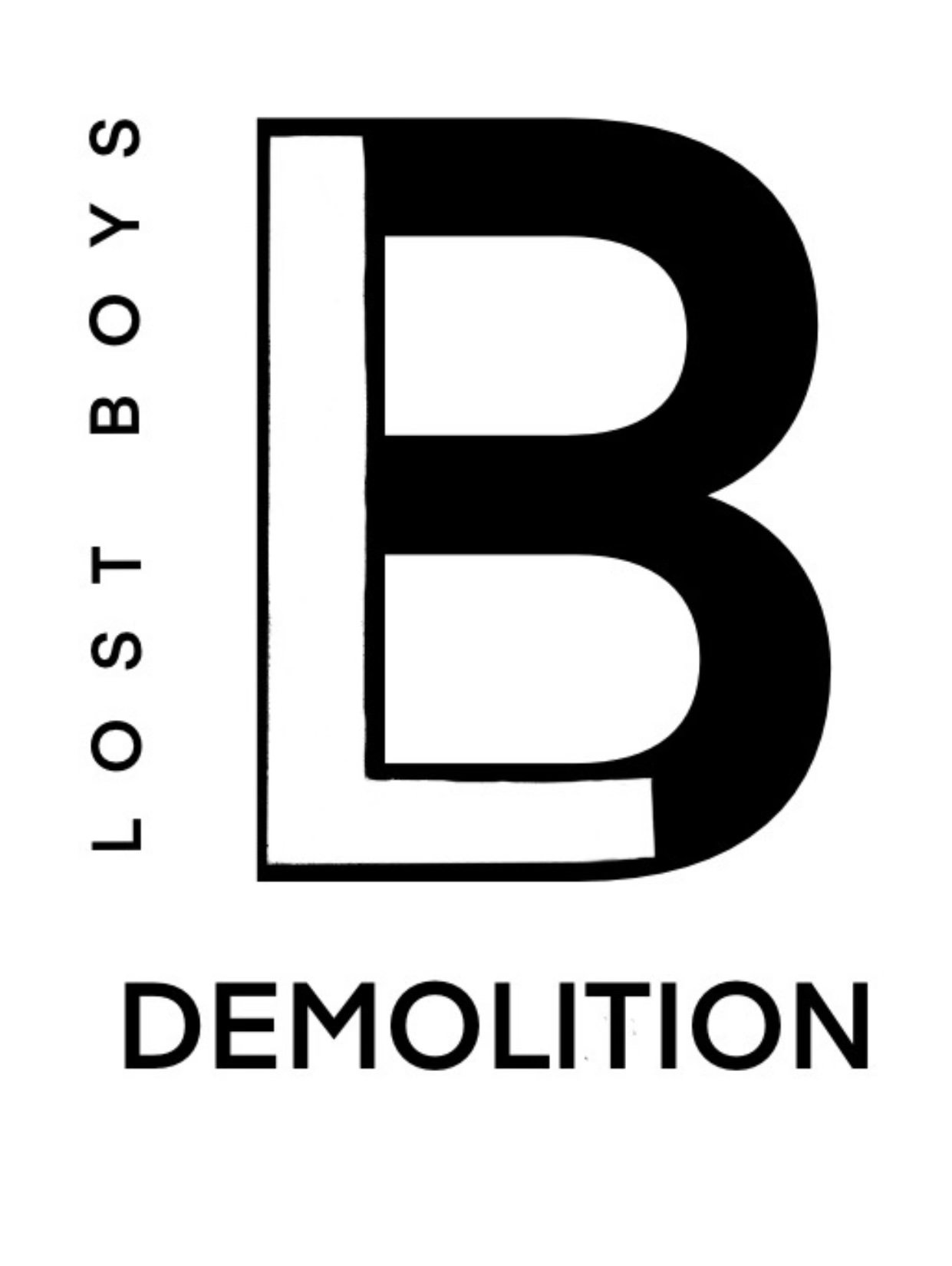 Bathroom Demolition Lost Boys Demolition